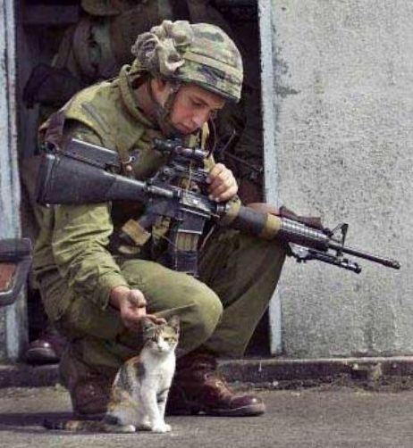 Le chat et le soldat